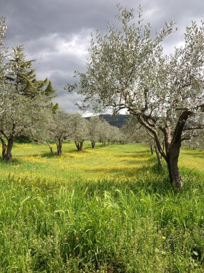 Gli Ulivi D'Argento Villa Assisi Dış mekan fotoğraf